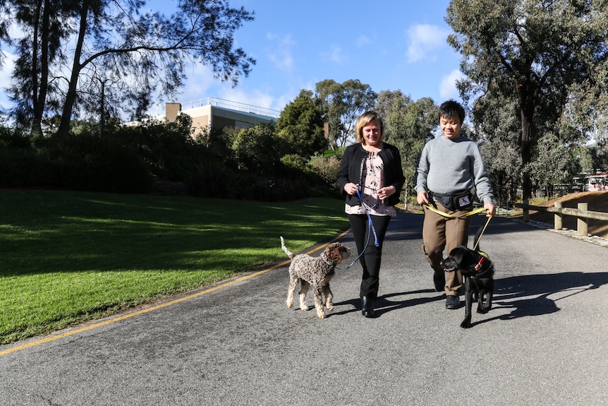 Dr Pauleen Bennett walking xxx with PhD student and foster career Dac Loc Mai (Jimmy) walking Abbey.
