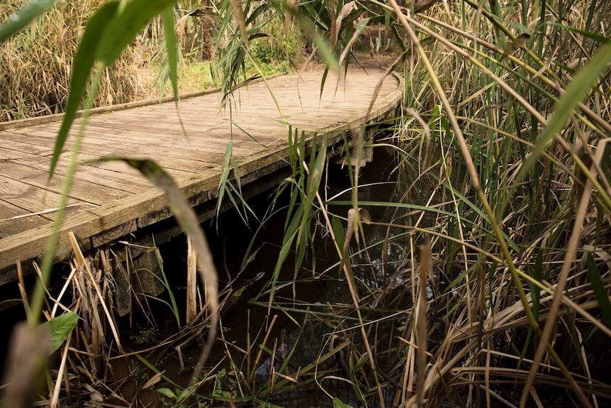 Water runs under a bridge in a park.