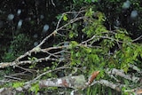 The wild weather has left a trail of damage, including to properties on the Atherton Tablelands