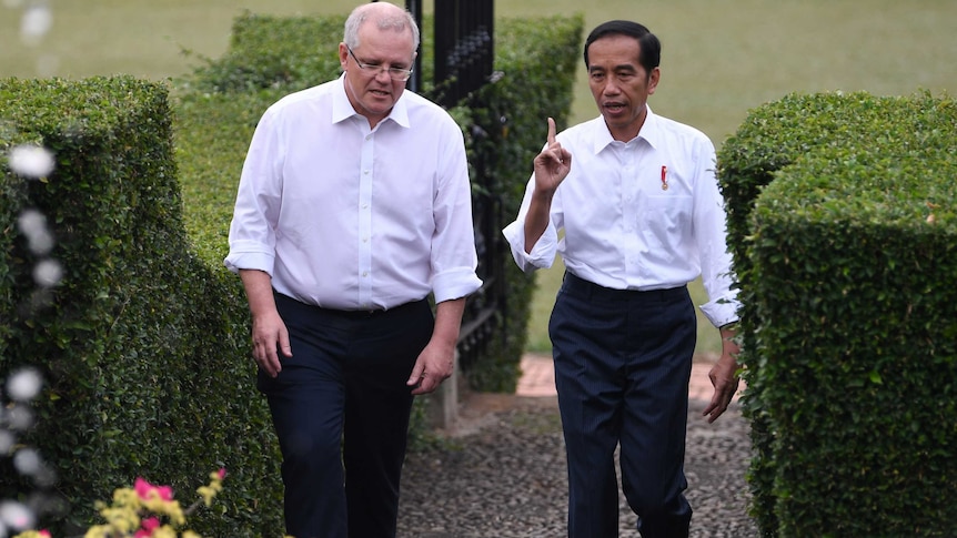 Australian Prime Minister Scott Morrison and Indonesian President Joko Widodo arrive for high tea at the Grand Garden near Bogor Presidential Palace near Jakarta, Friday, August 31, 2018. Scott Morrison is in Indonesia for a two-day official visit.