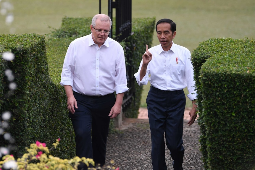 Two men walking in the garden