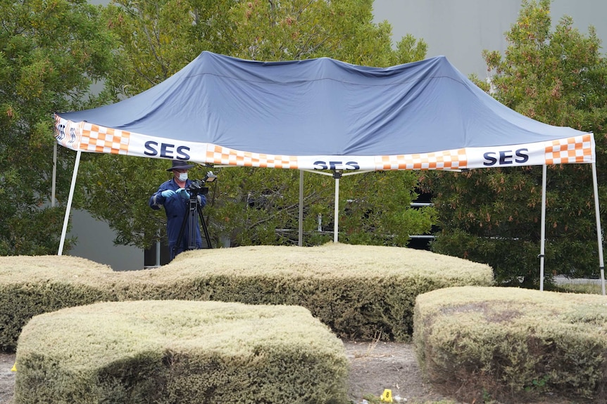 A forensic photographer with a camera under an SES tent behind some hedges. It is a crime scene.