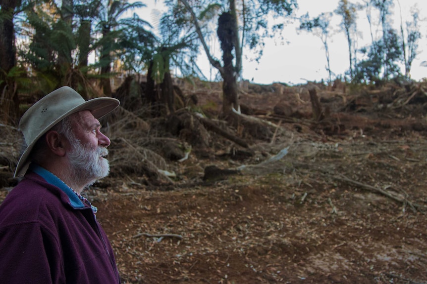 Local Derby resident Peter Coxhead looks at a recently logged forestry coup.