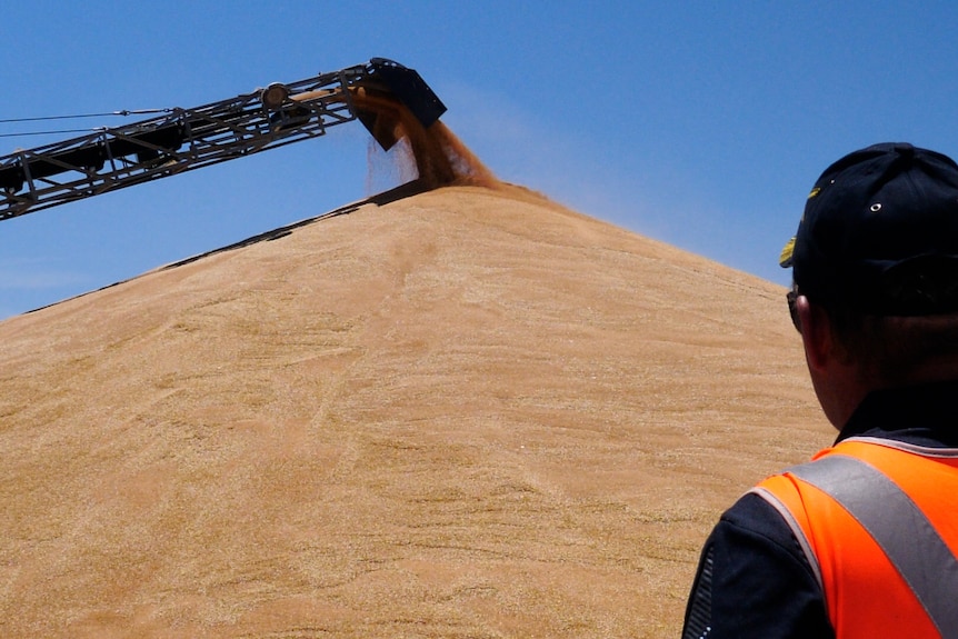 Man in high-vis orange vest watches an auger shift grain.