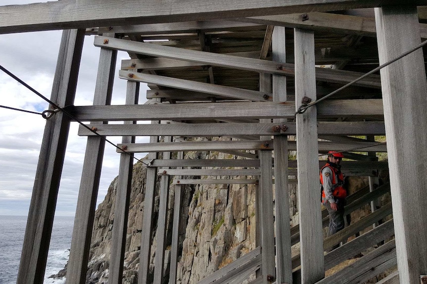 Steel cables hold the platform on Tasman Island