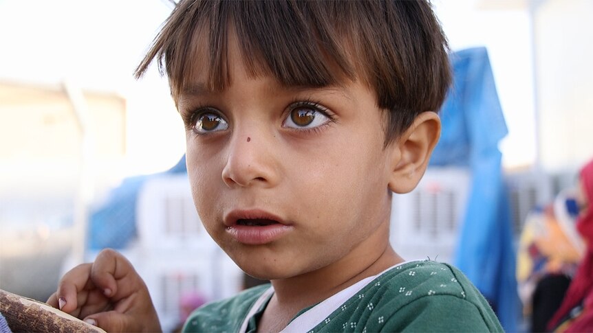 The face of a two-year-old Iraq boy who just arrived at the Debaga camp, North Iraq.
