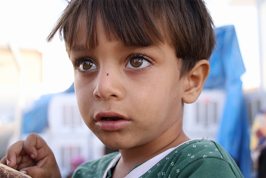 The face of a two-year-old Iraq boy who just arrived at the Debaga camp, North Iraq.
