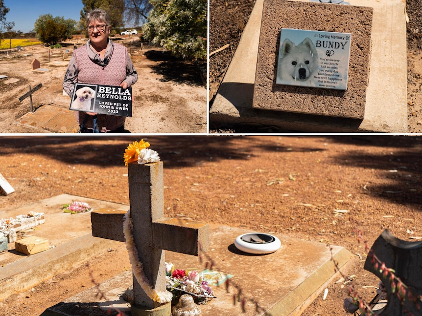 woman standing in dog cemetery with pink vest holding plaque