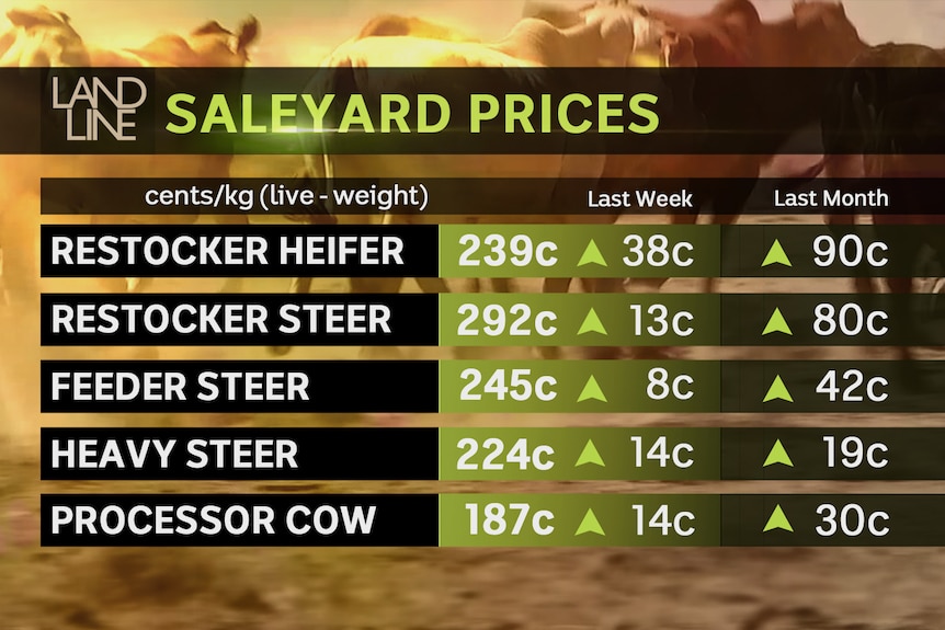 Стационарный график цен на скот
