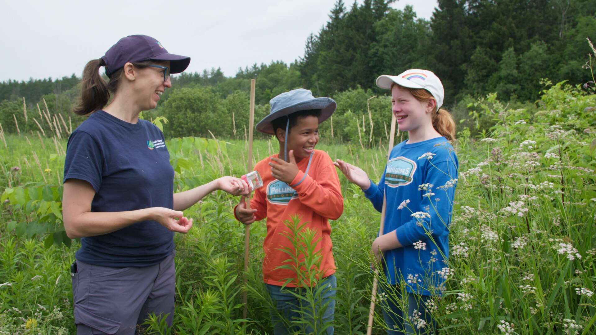 Leo's Pollinators - ABC Education