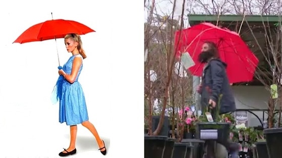 Musical classic Les Parapluies de Cherbourg poster on the left and Gardening Autralia's Costa Georgiadis  with an umbrella.