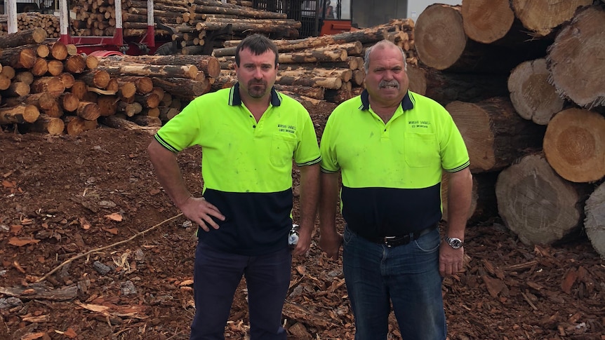 Two men in high-visibility shirts stand facing the camera with piles of logs behind them.