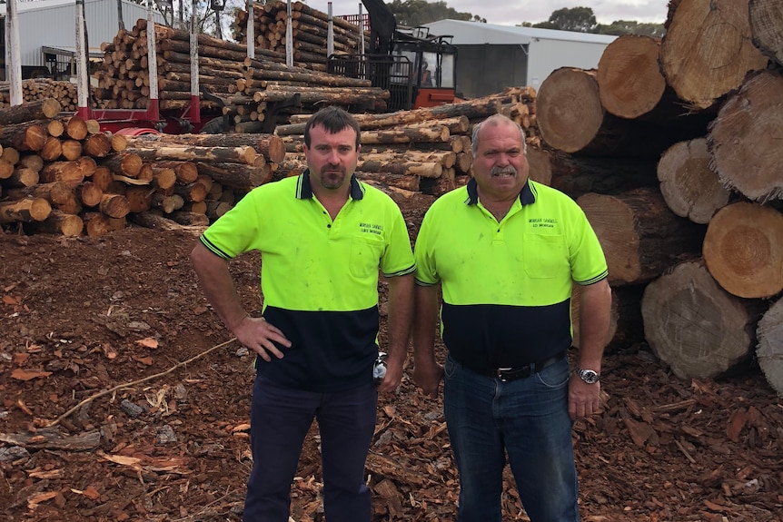 Two men in high-visibility shirts stand facing the camera with piles of logs behind them