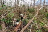 Researchers check Cyclone Trevor damage
