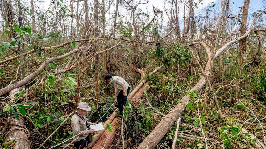 Researchers check Cyclone Trevor damage