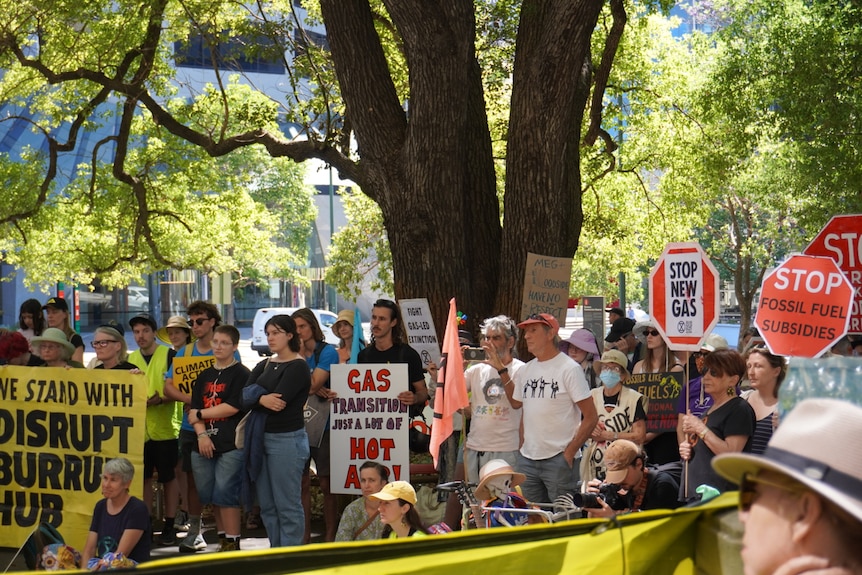 A group of people rally in a park calling for urgent action on climate change