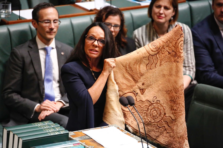 Labor MP Linda Burney addresses the caucus bearing traditional Indigenous cultural artefacts.