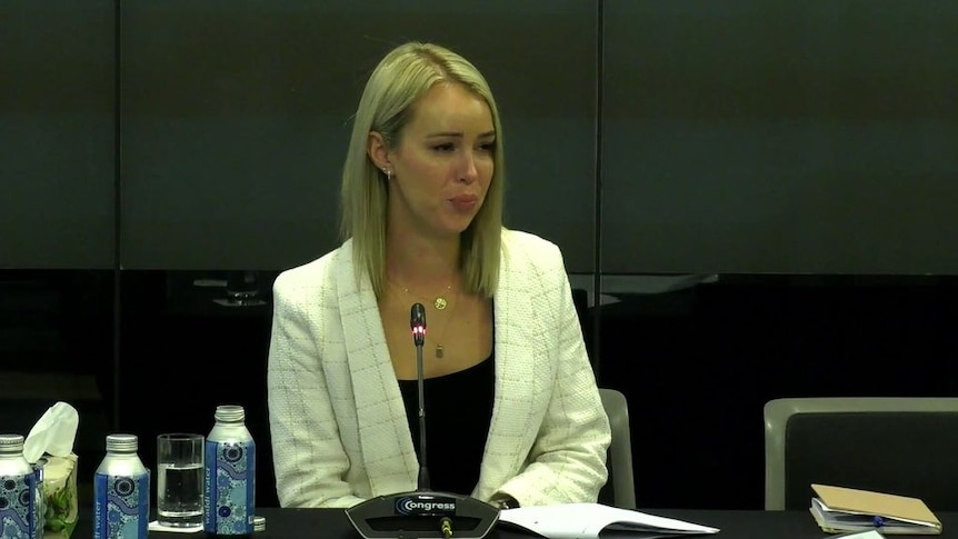 Caitland Lyon speaking at an inquiry.