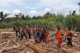 About a dozen men work to recover bodies from flood-ravaged scenes in Papua Province, with flattened trees and bushes in the bac
