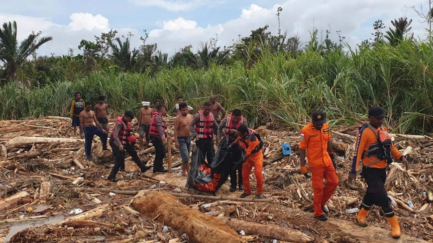 About a dozen men work to recover bodies from flood-ravaged scenes in Papua Province, with flattened trees and bushes in the bac