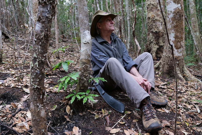 A man in bush clothing sits in a forest with the new shoots emerging from the Gondwana-era nightcap oak