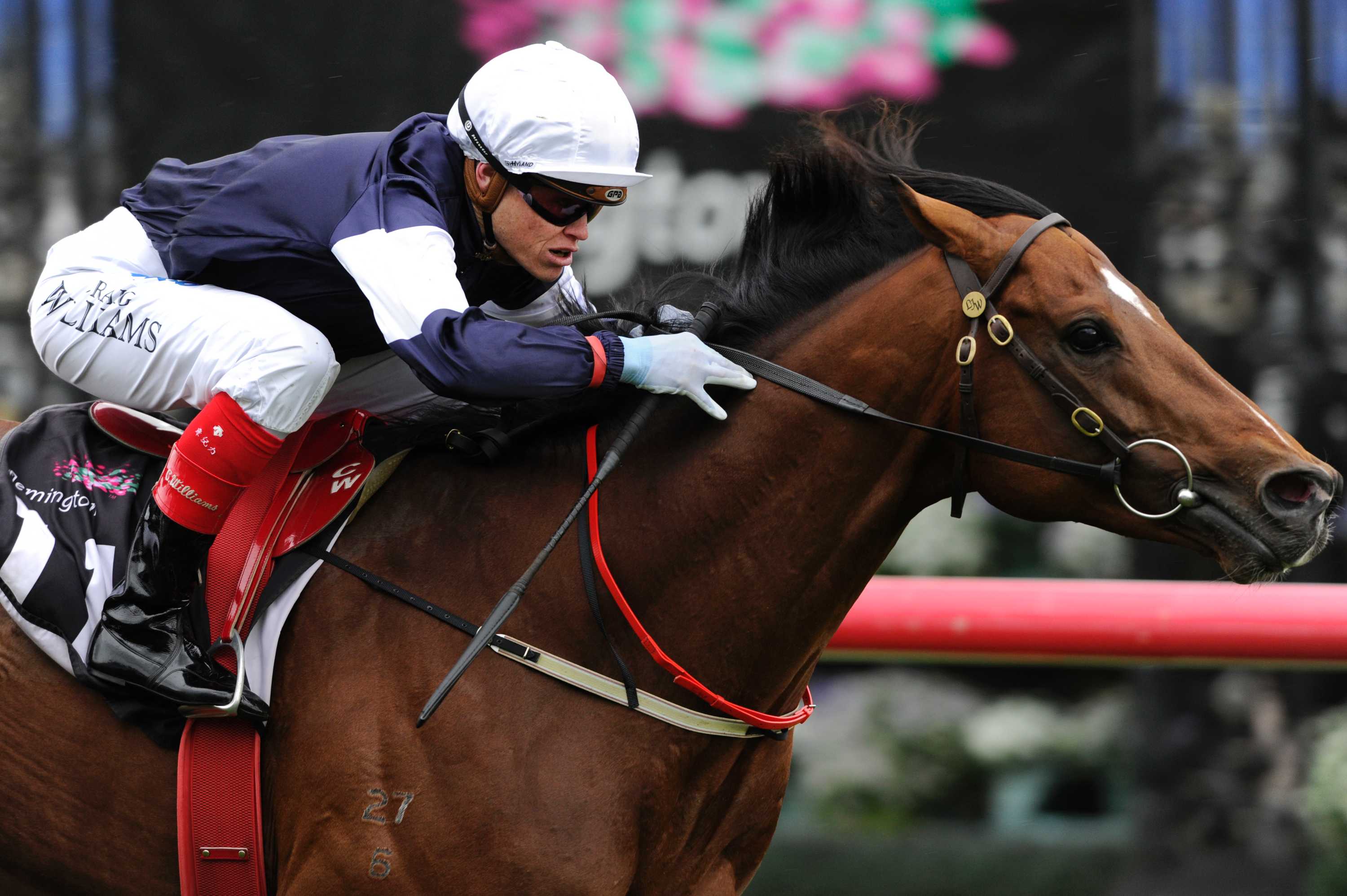 Stephen Holden ABC News