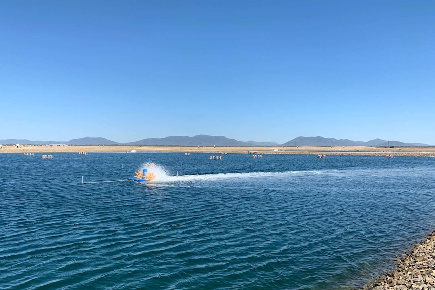 An aquaculture system in the ocean with mountains on the horizon