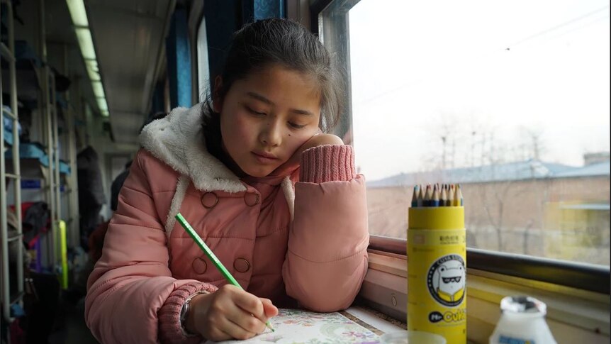 Chinese girl on train for NY