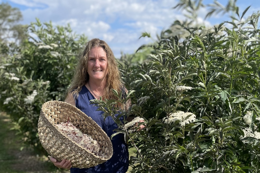 A woman stands in an orchard, holding a basket full of white flowers.