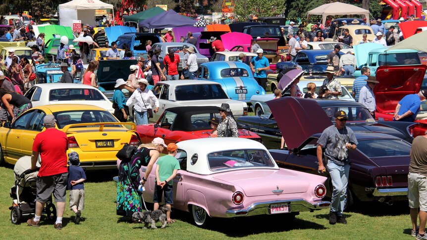 Classic cars at Carnival of Flowers in Toowoomba.
