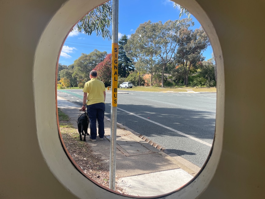 Through a bus-stop window, a man is visible walking with his dog.
