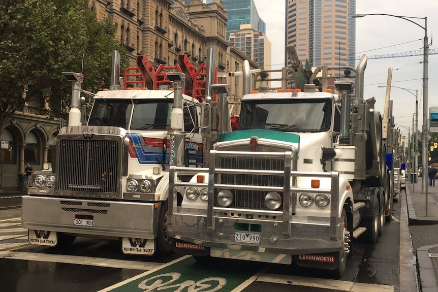 Large logging trucks outside the Victorian Parliament in the early hours of the morning.