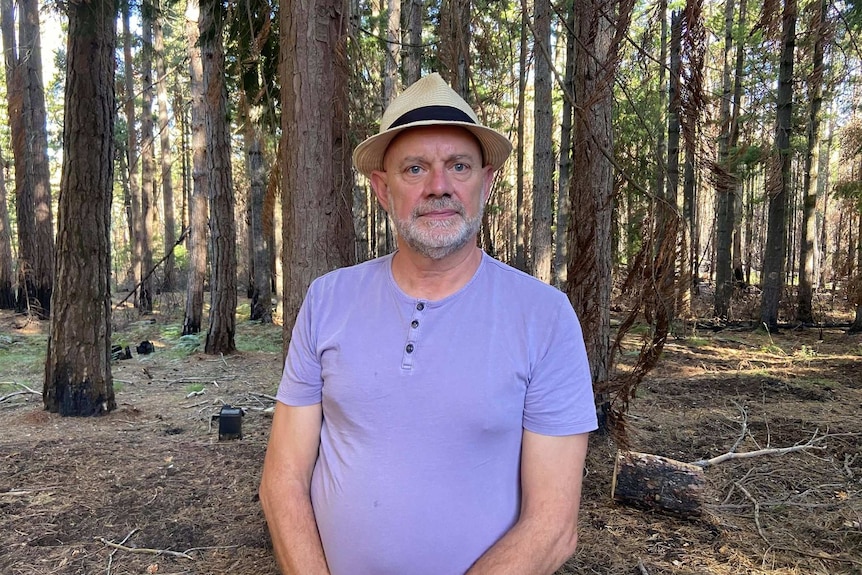 Man in purple t-shirt and straw hat standing in a pine forest
