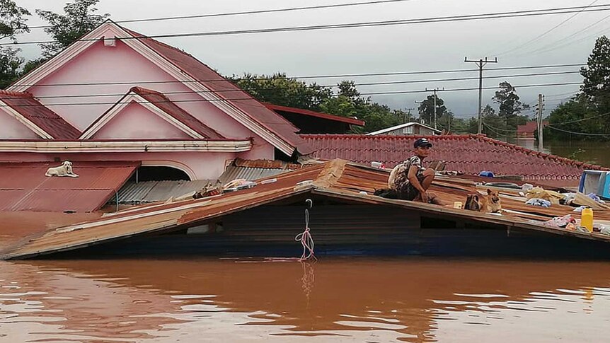Man sits on roof with dogs during Laos flood