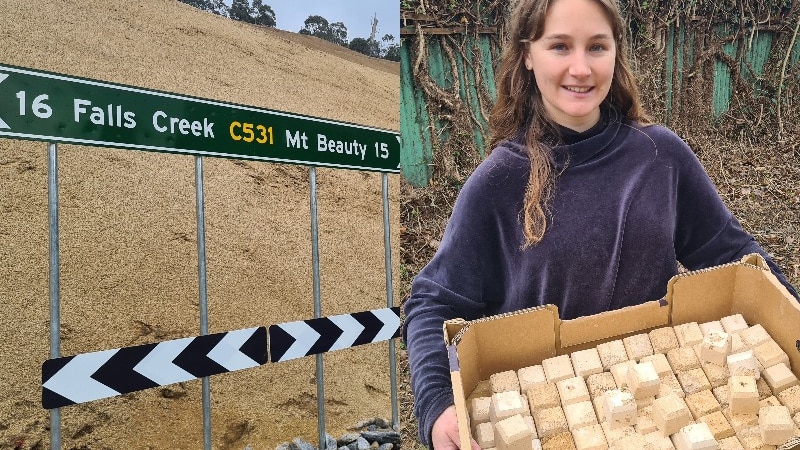 Restored landsip site with a street sign saying Falls Creek/Mount Beauty and a young woman holding a box of dirt cubes.