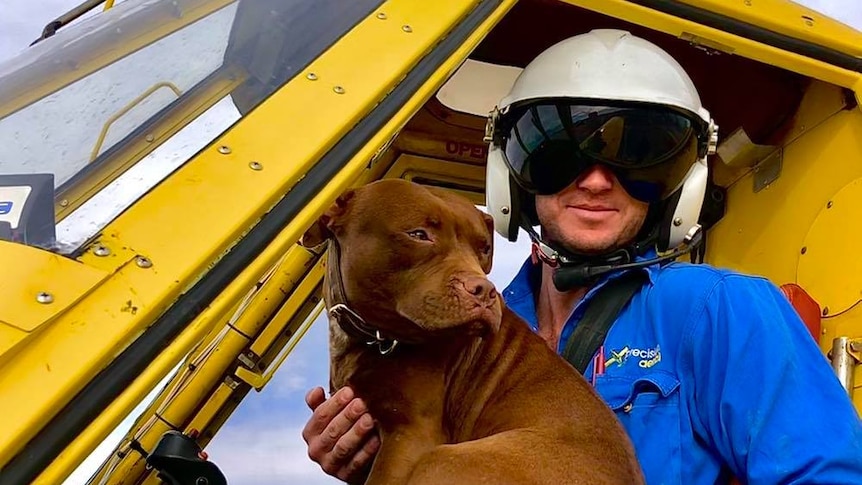 A man sits in a small plane cockpit holding a dog