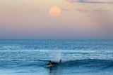 A surfer paddles onto a wave as the supermoon rises off the Sydney beachside suburb of Wanda