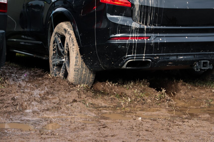 Muddt tyre on a black sedan, stuck in mud