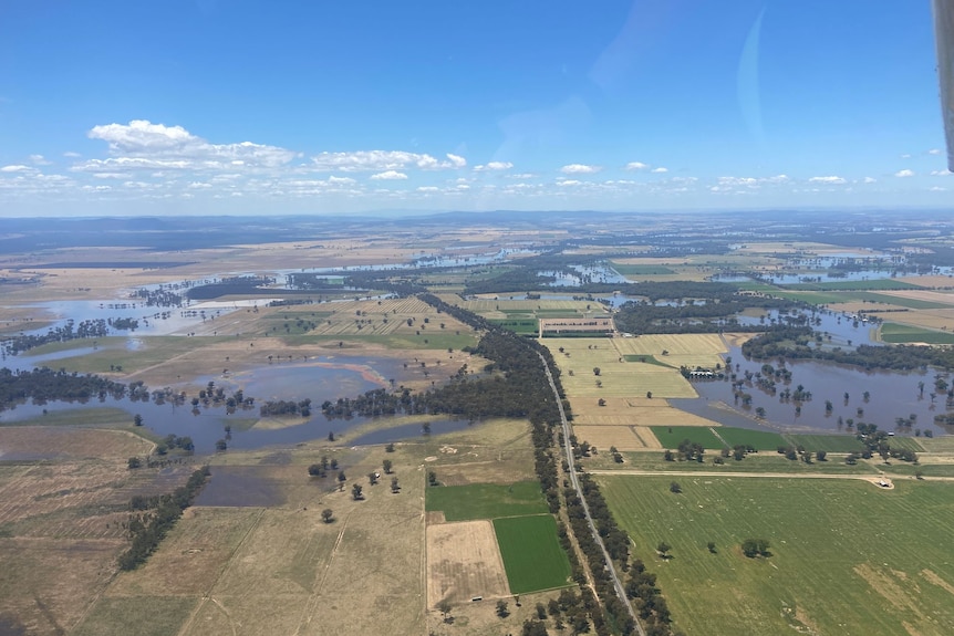 Flooded paddocks and a road from the air.