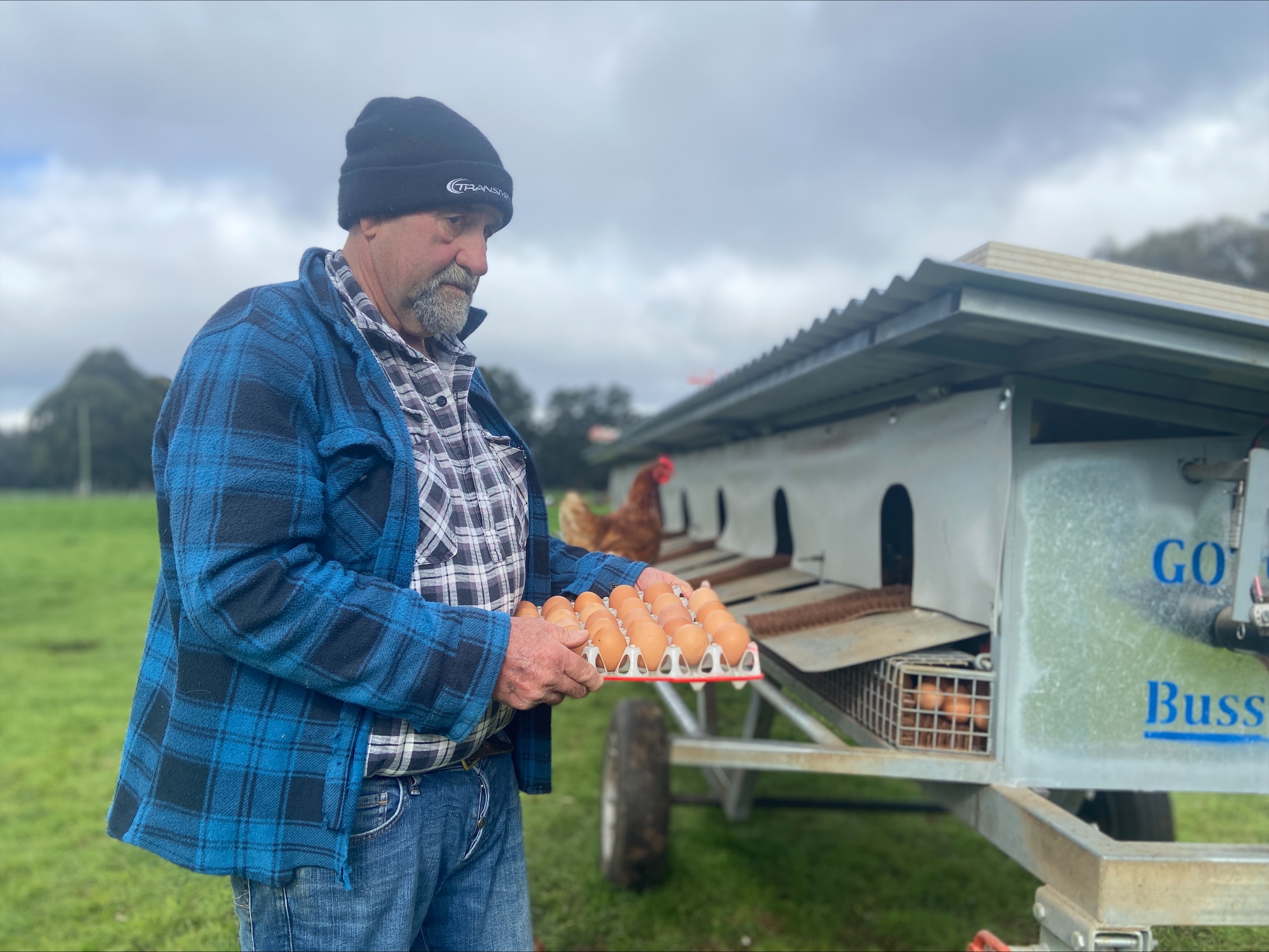 A man with beanie holding tray of chicken eggs