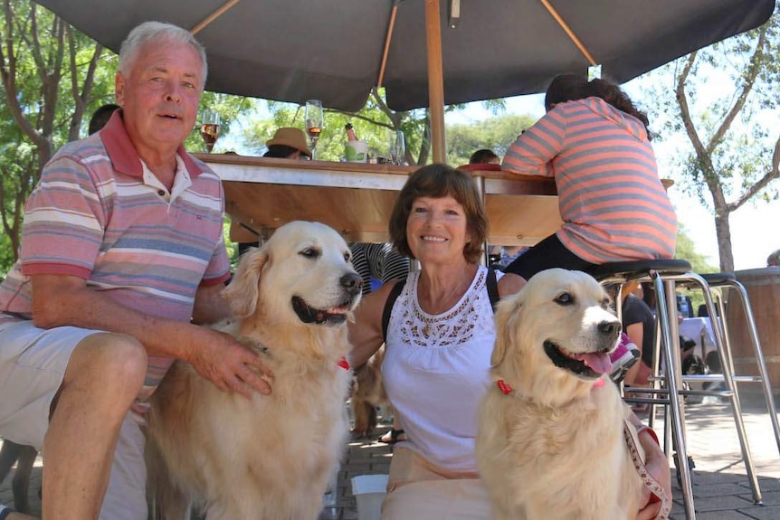 Graham and Carol Daffern with their golden retrievers.