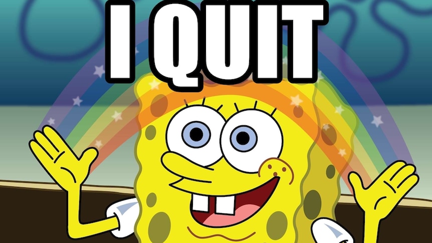 SpongeBoB says I quit