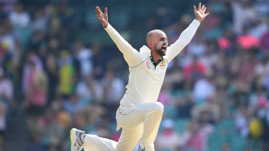 An Australian bowler goes down on one knee with both arms outstretched in appeal for a wicket.