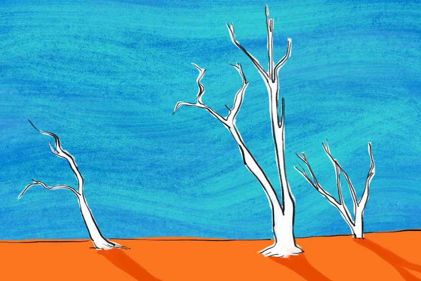 Illustration of dead trees and red, dry dirt
