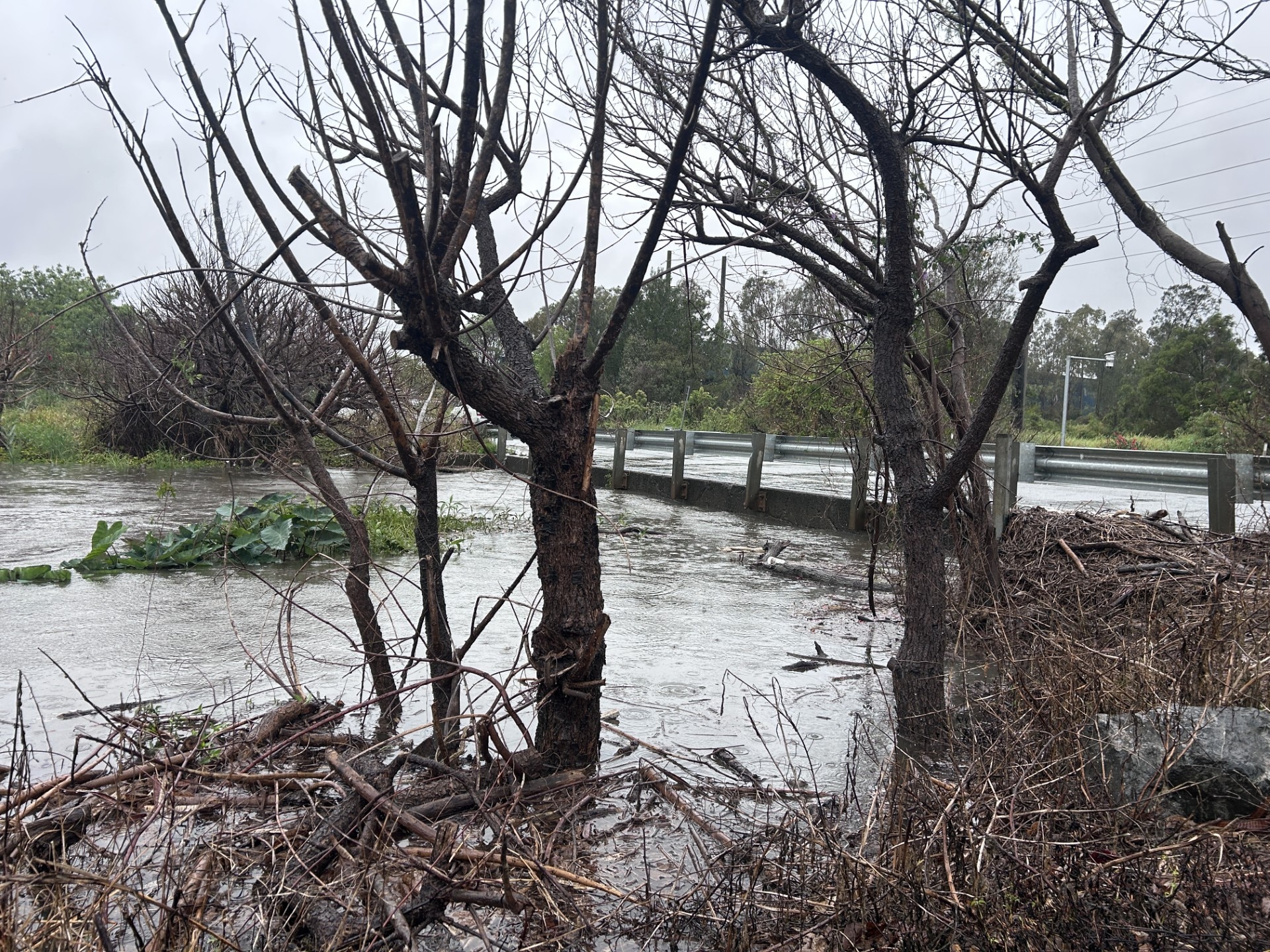 Roads and schools closed as flash flooding hits south-east Queensland - ABC News & Headlines – Australian Broadcasting Corporation
