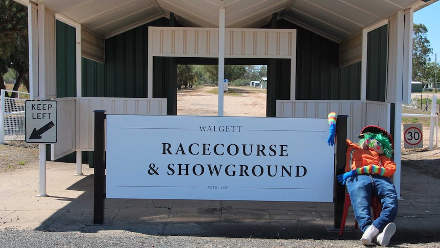 scarecrow with green hair and rainbow arms sits in a relaxed way leaning on Walgett Showgrounds sign