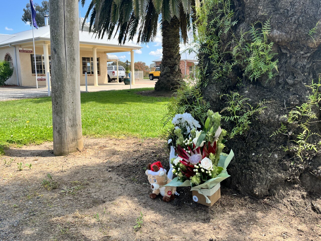 Flowers in the foreground lying next to a tree with a building in the background