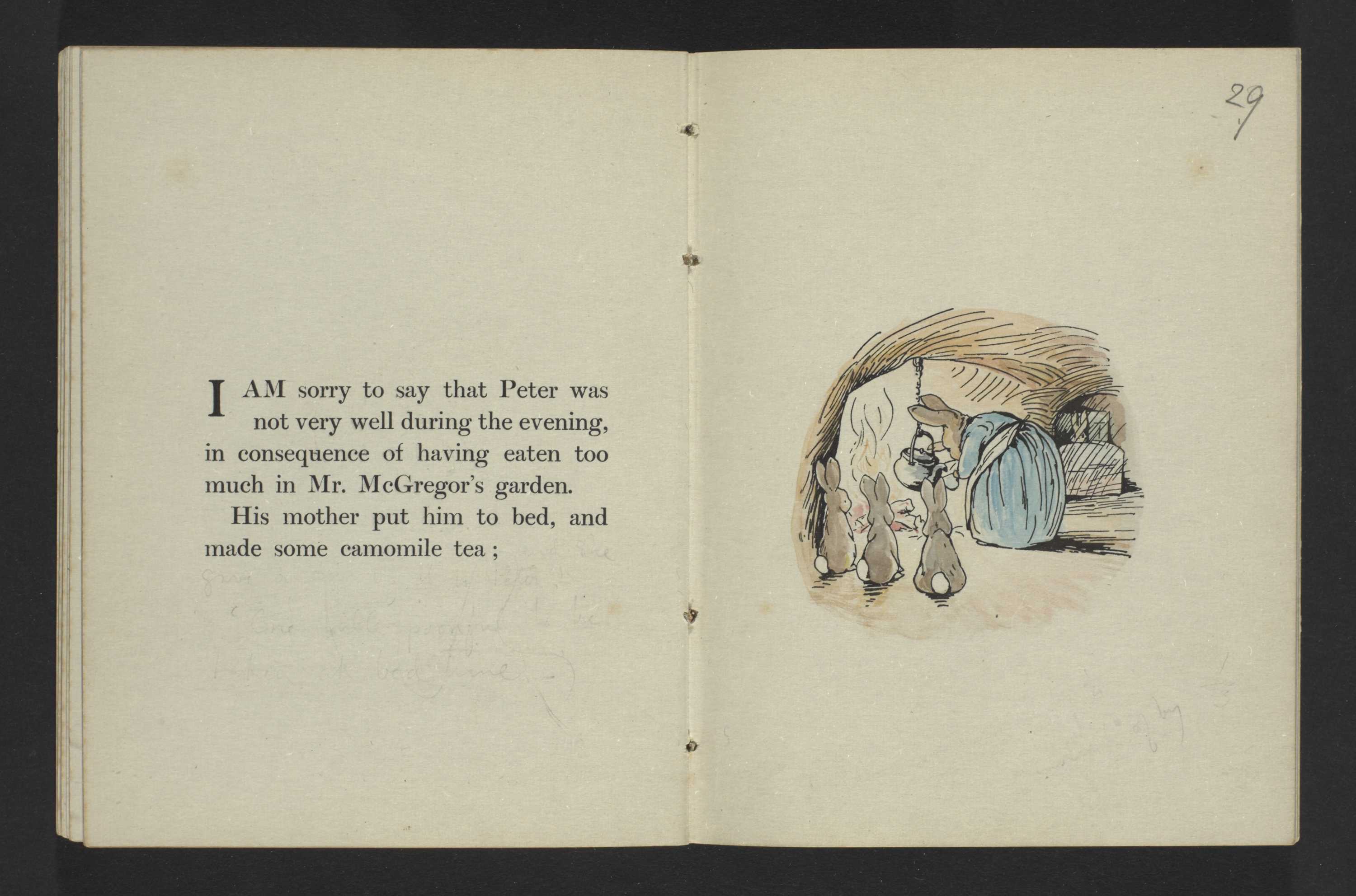 Lady of the Lakes - the story of Beatrix Potter and her cast of ...