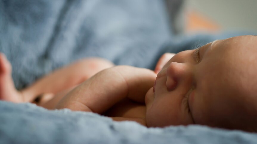 A newborn baby is sleeping peacefully.