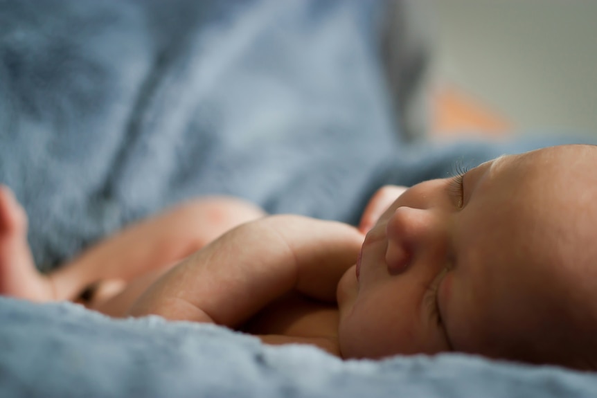 A newborn baby is sleeping peacefully.